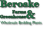 Beroskes Farms and Greenhouse